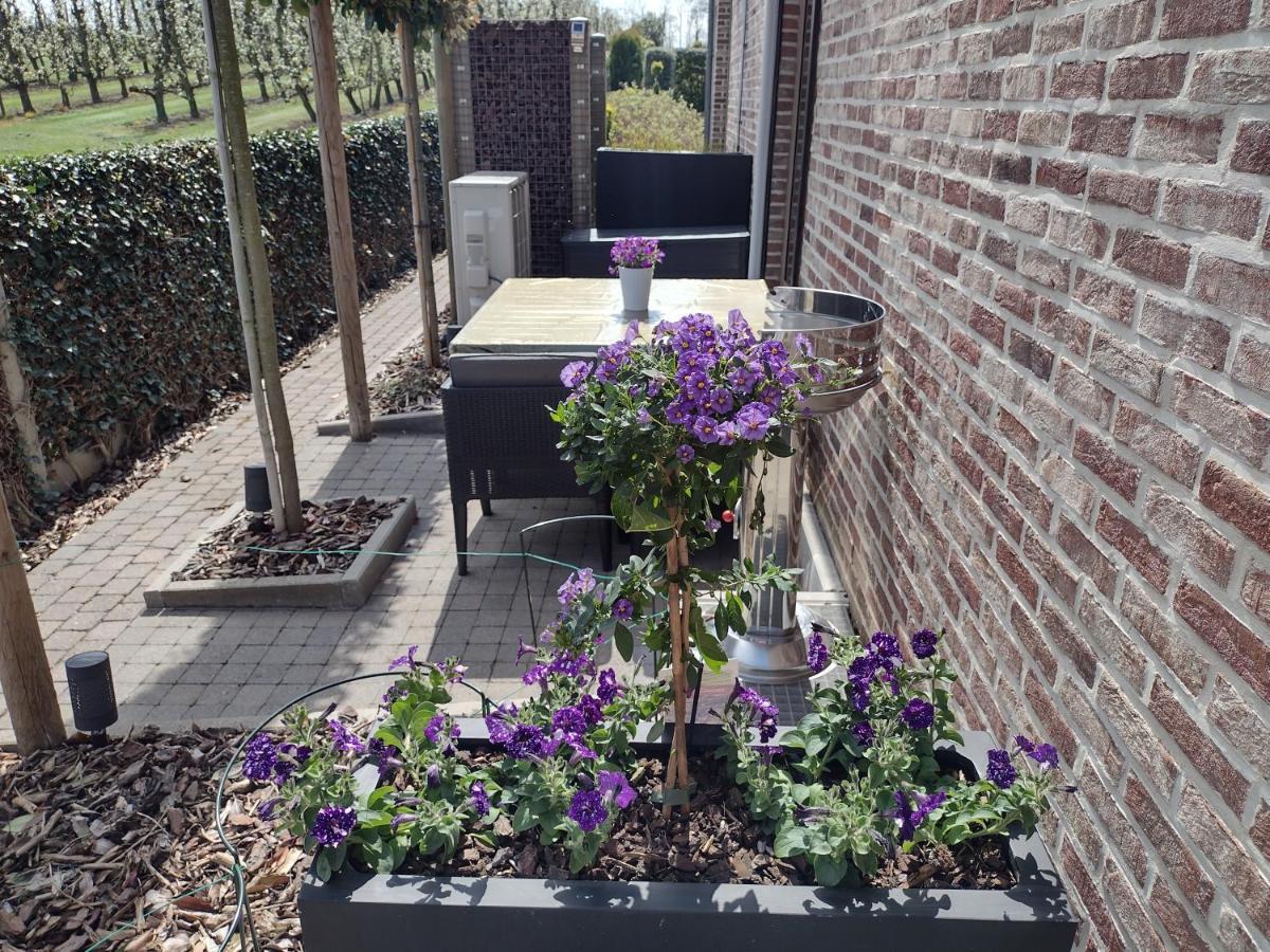 Hasbania Vakantiewoning Gingelom Exterior photo